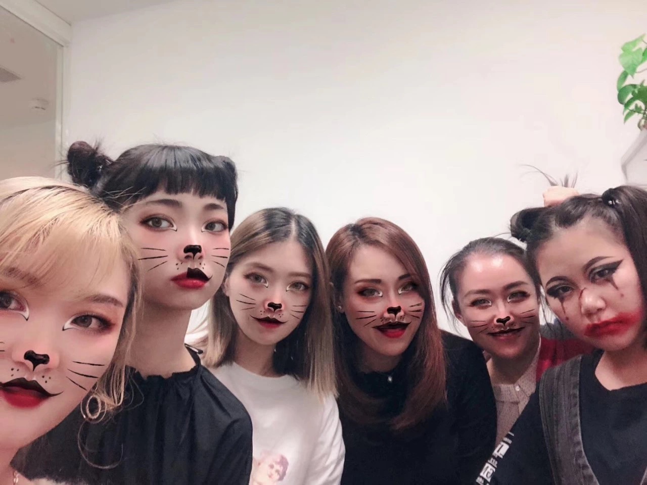 �Ϲ����֡�NG(�й���)�ٷ���վ