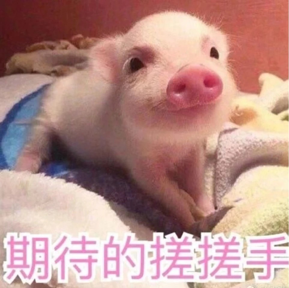 �Ϲ����֡�NG(�й���)�ٷ���վ